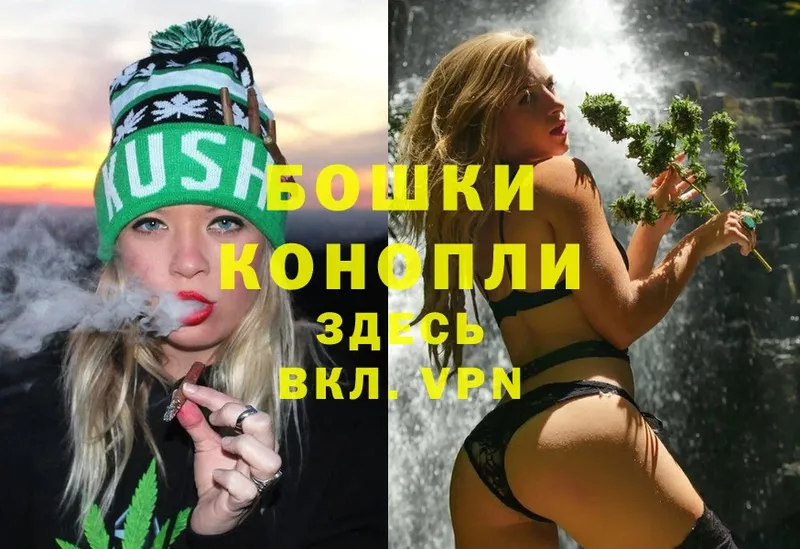 Бошки Шишки OG Kush  Ишим 